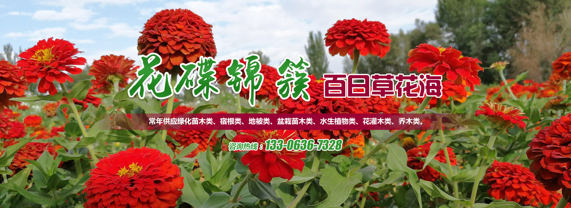 青州市花碟锦簇园林绿化工程有限公司